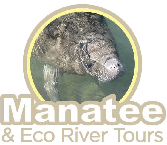 Manatee and Eco River Tours